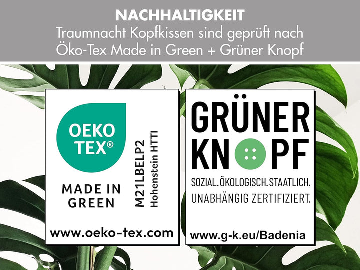 Traumnacht Cozy - Set de 2 perne cu husă din microfibră moale, pernă certificată Oeko-Tex cu fermoar, 80X80 cm, produsă în conformitate cu standardul de calitate german